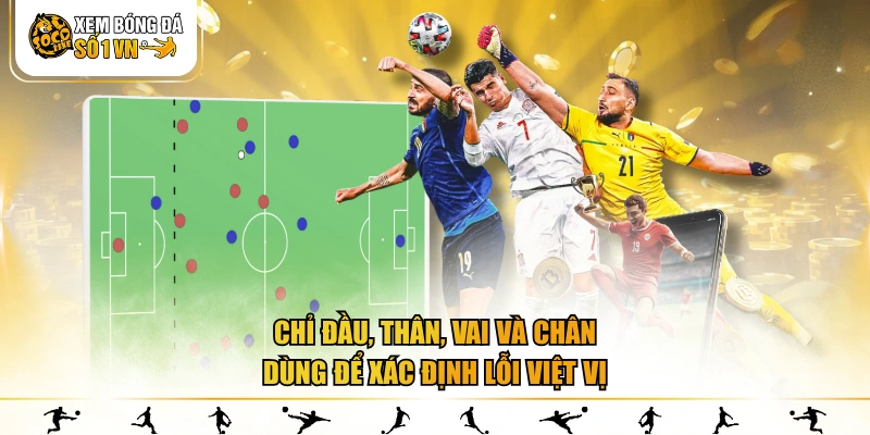 Chỉ đầu, thân, vai và chân dùng để xác định lỗi việt vị